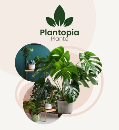 Plantopia